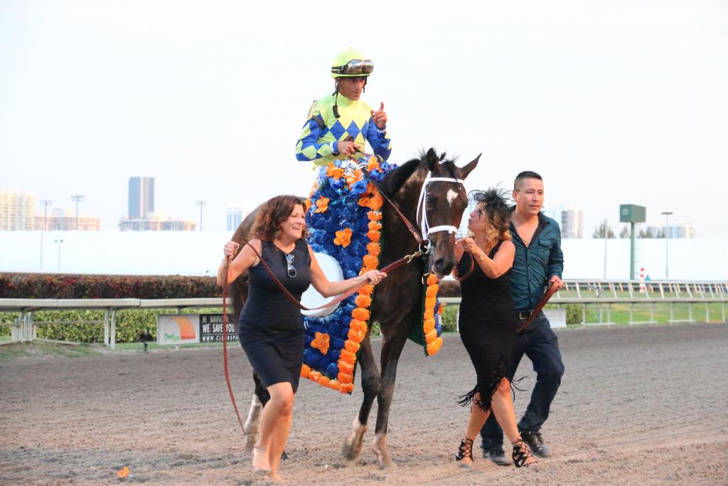 17flderby 23 bda85d9a0fe0e1be7988d47101ce8a28c2523c8cbf53c7b851a84a48947fd7bf