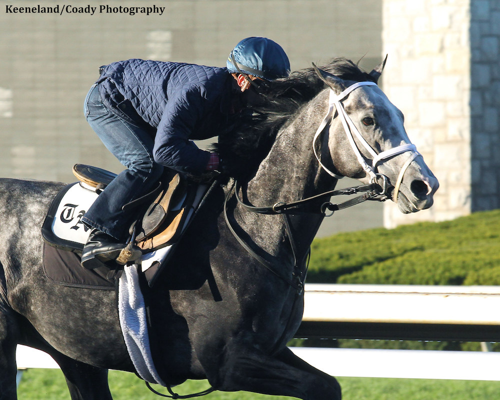 Liams map keea 6dfe044bbb351548480d97a8682189713aebad47d2dc54e47897720c2a3c6742