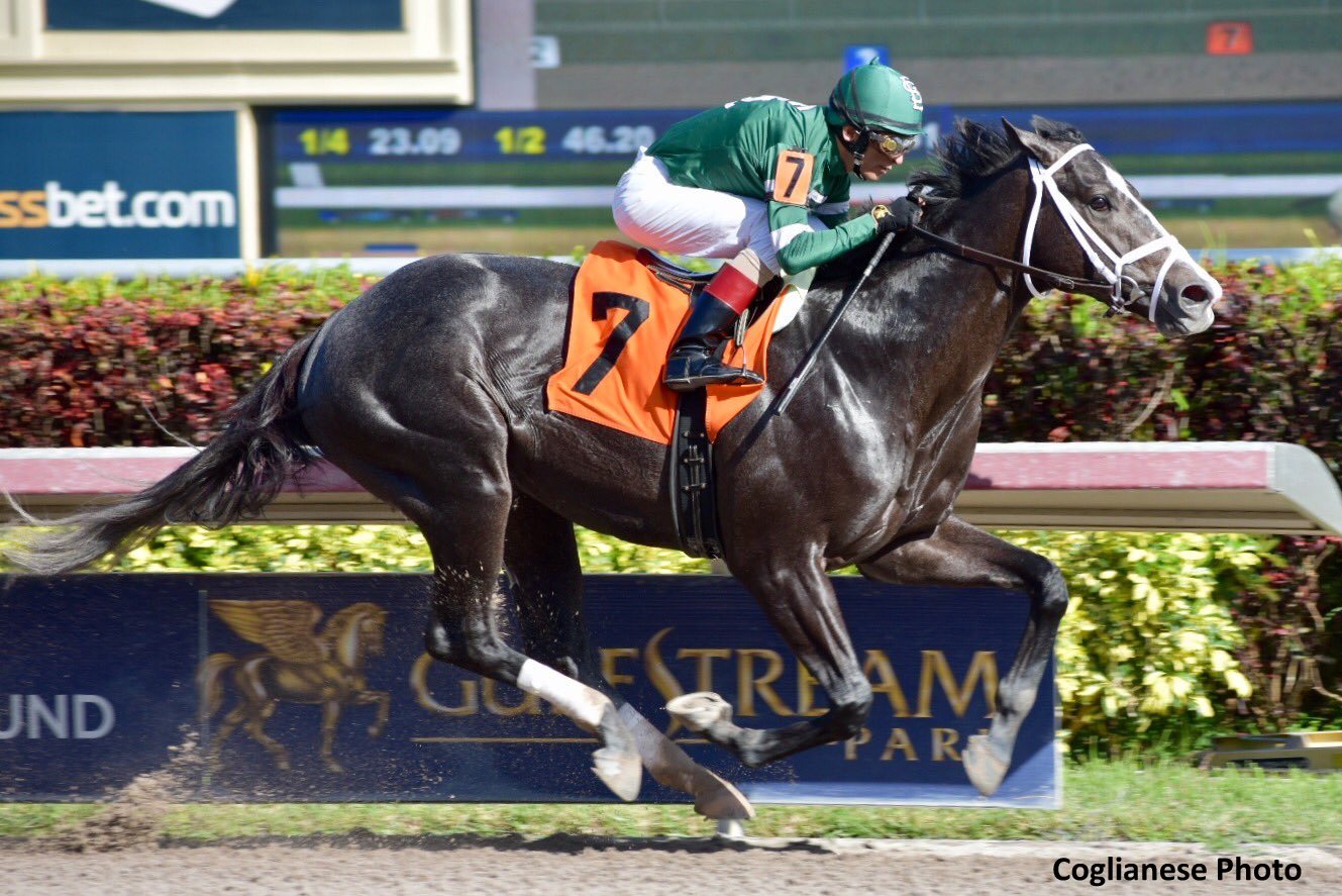 Battalion runner 24d0fbf0ab9ab060362108be35932cd8aac80491612147d0c7ab030ecea8b614