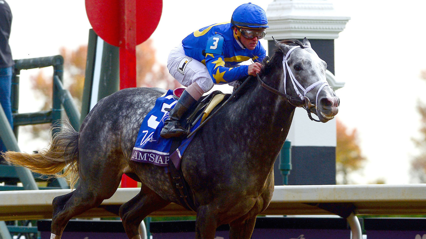 La sp breeders cup race results 20151030 d47ed58711a61e31d7fdbe57dc944922d3d9b4682a1e56f403182174a82bc613